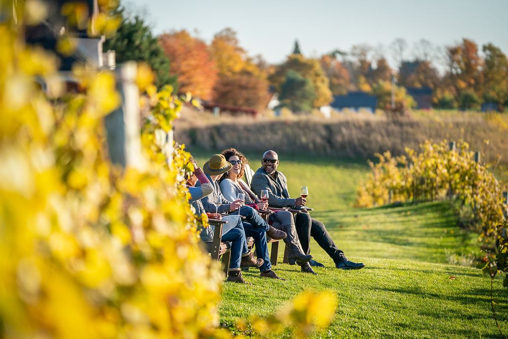Wine Tasting in the Fall A group of friends sitting in a vineyard in the fall.