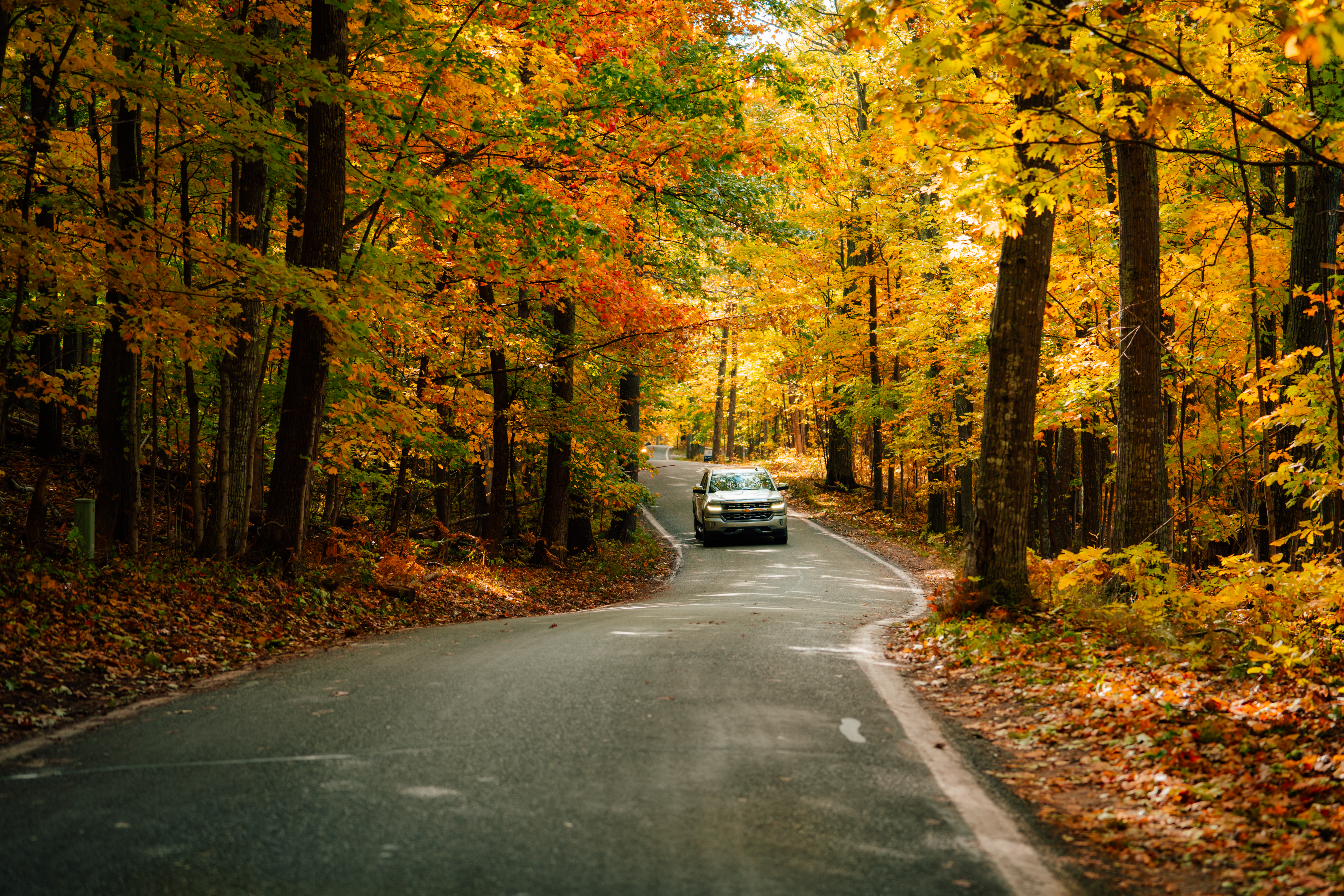 Fall Drive in Michigan A truck driving through a fall forest