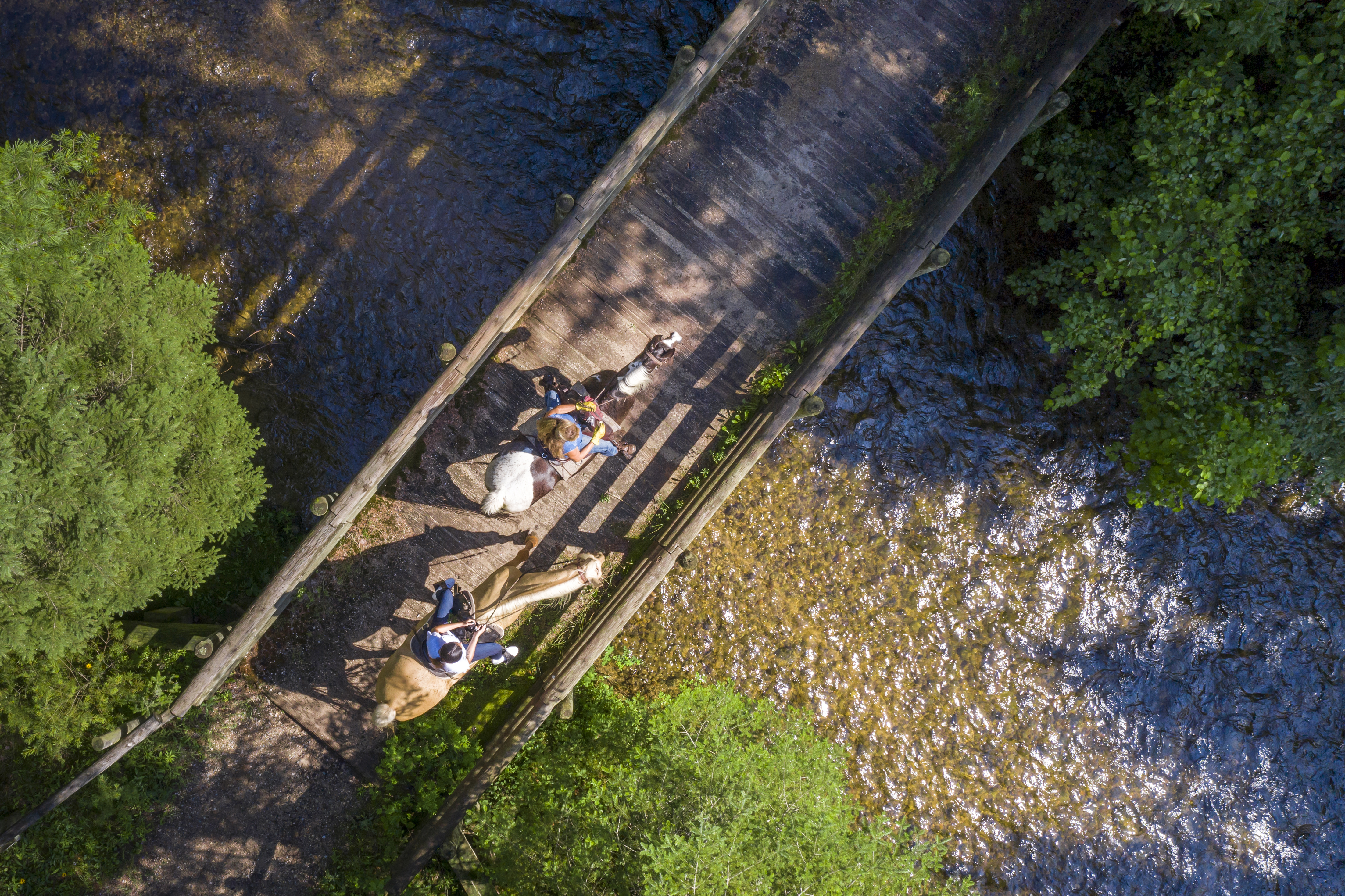 Au Sable River Two people on horseback crossing a wooden bridge over a shallow river.