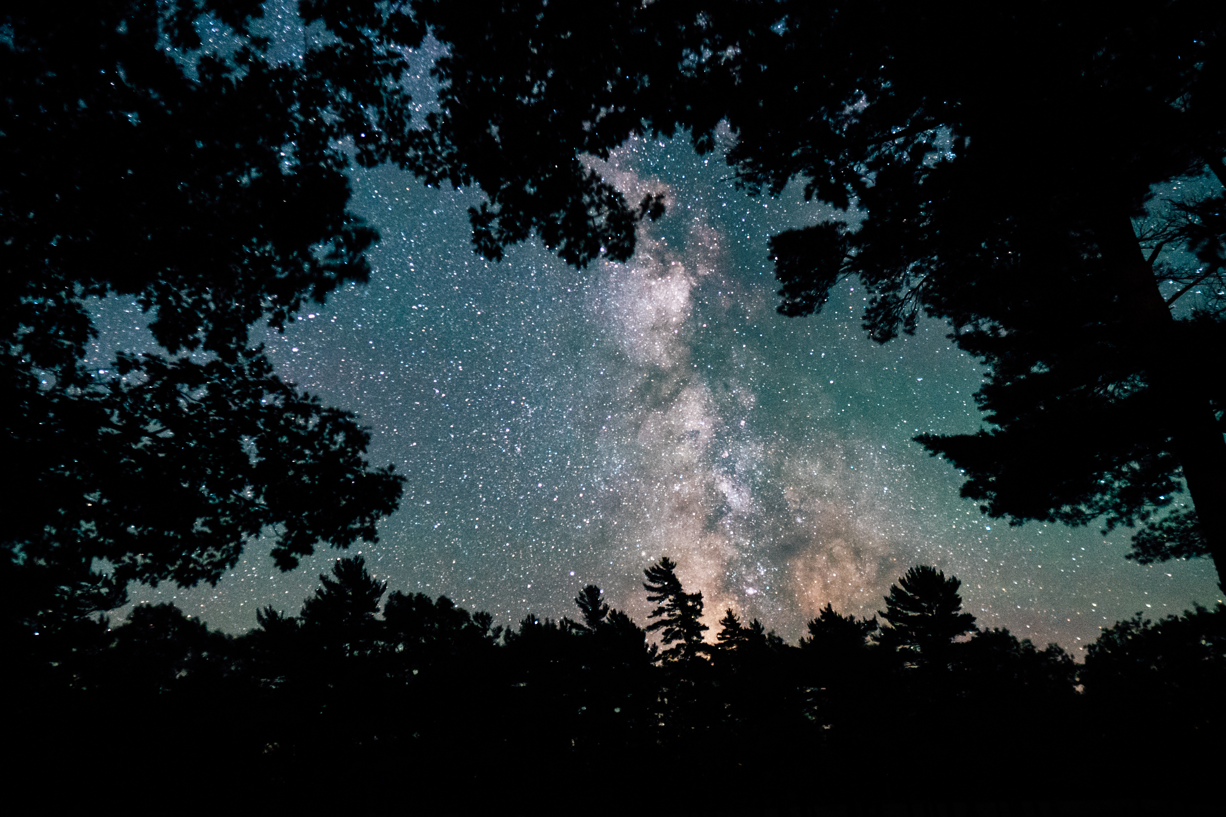 Stargazing at the Keweenaw Mountain Lodge The Milky Way above trees at night