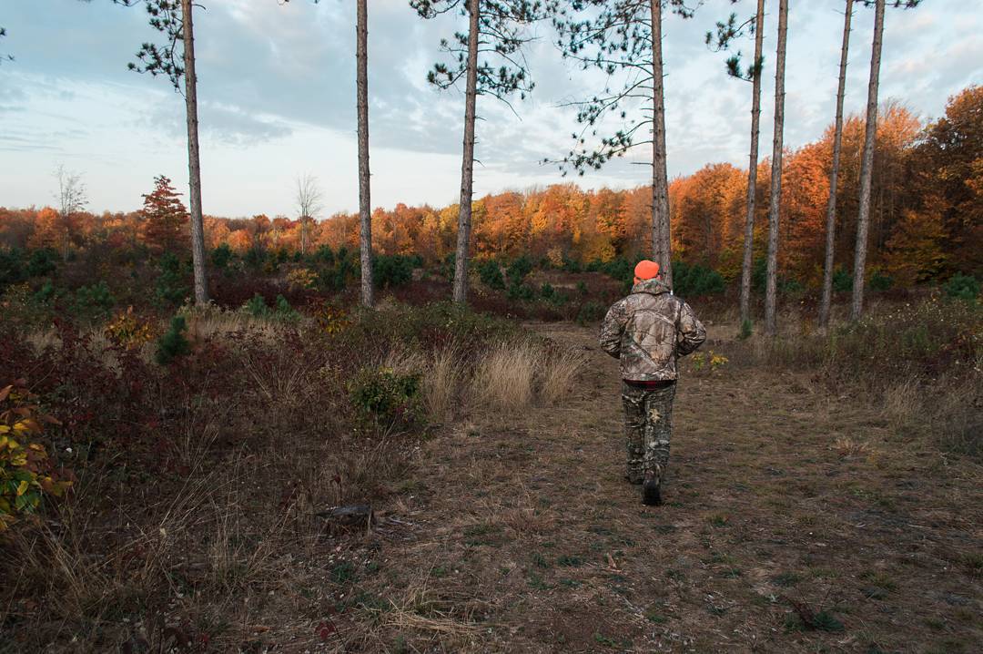 Hunting in the Fall A man dressed in hunting gear walking in a field.