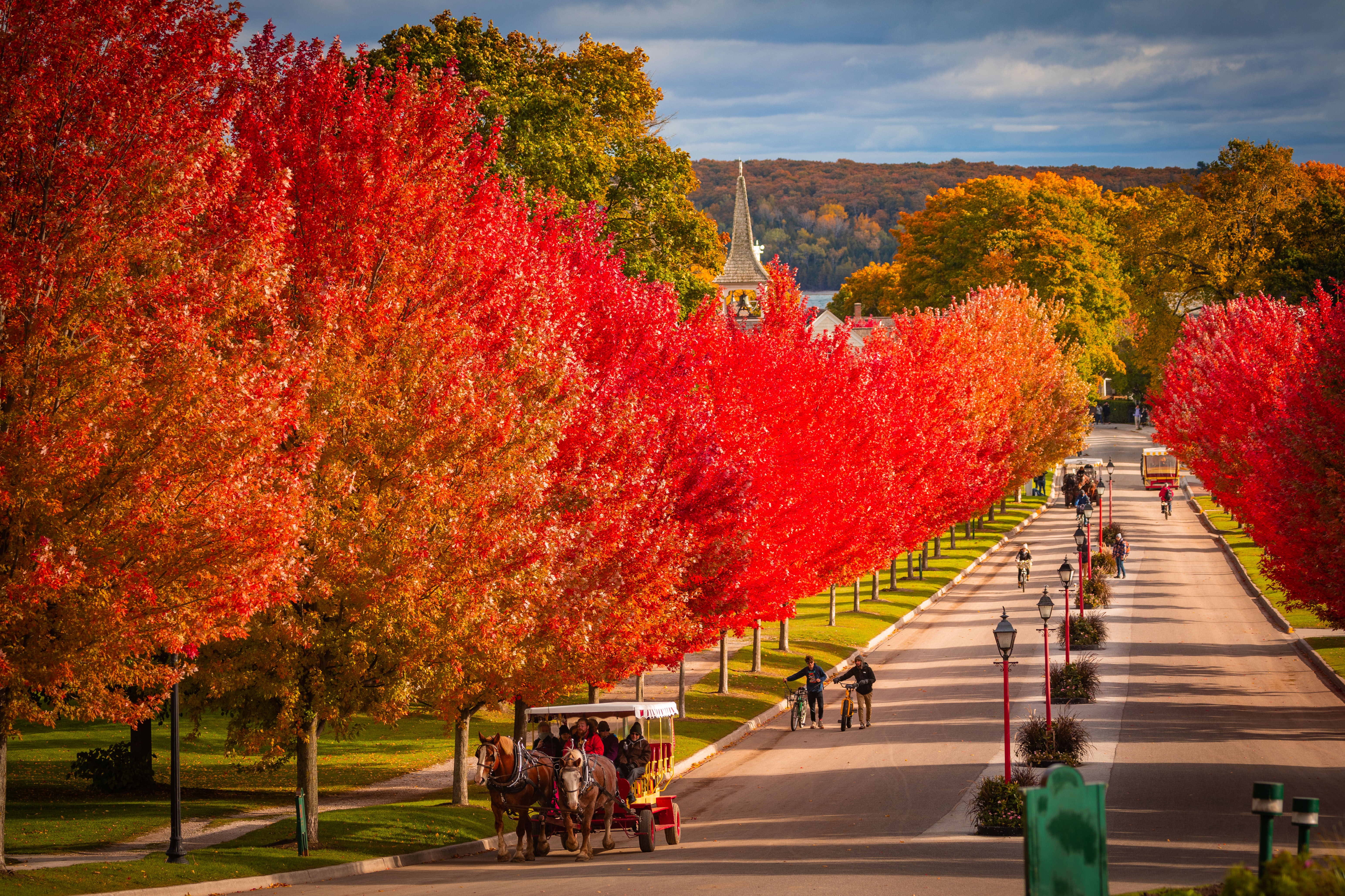 Mackinac Island A horse-drawn carriage on a street lined with fall trees.