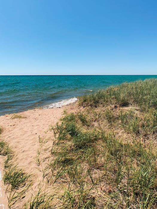Beach grass on the coast at Tawas Point State Park.