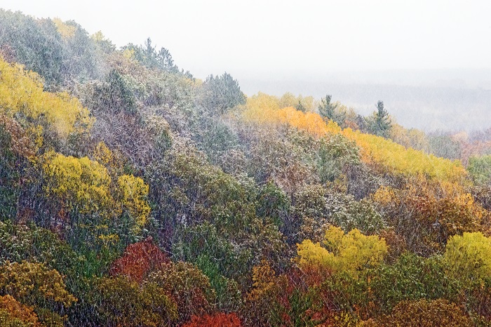 Fall Colors at The Manistee River High Banks Rollaway
